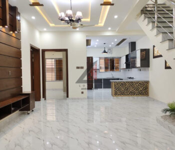 Lohani Associate (3)