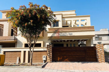 Lohani Associate (3)